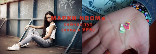 стафф Алексин