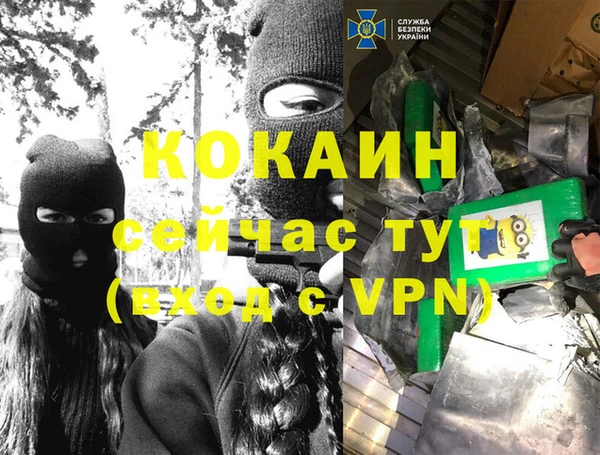 стафф Алексин