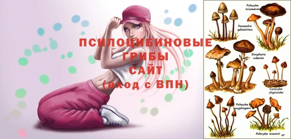 твердый Алексеевка