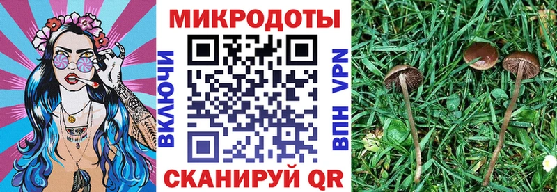 Псилоцибиновые грибы MAGIC MUSHROOMS hydra как войти Рославль